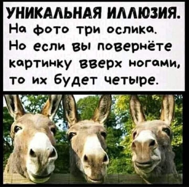 �������� - 23 ���� 2020 � 09:55