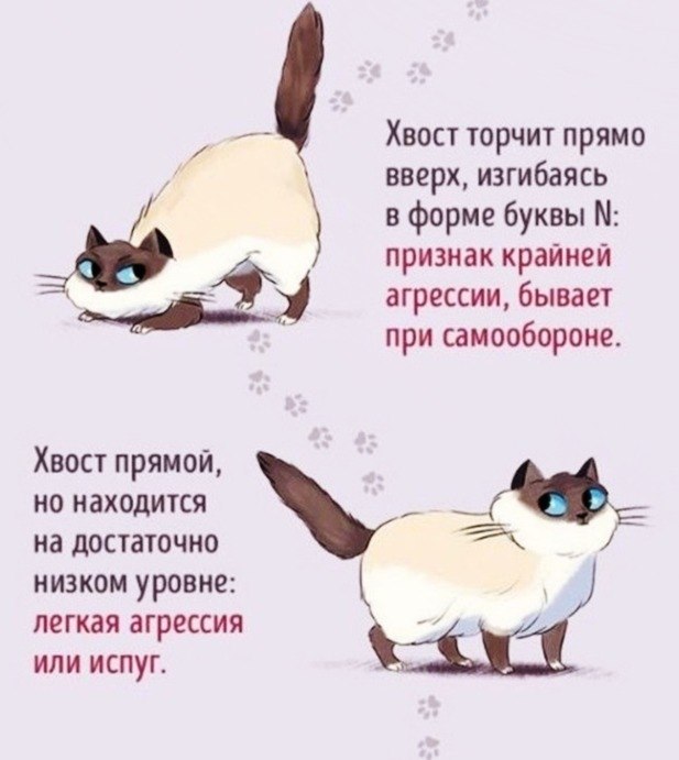    :   -  - 5