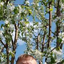 ���� ��������, ������������, 66 ��� - ��������� 4 ���� 2020 � ������ ������ ��������