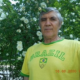 �������, �����-���������, 75 ���