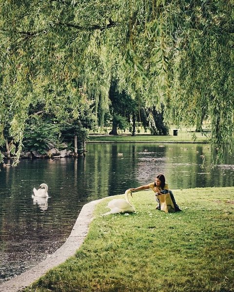 Boston - 4
