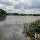 ���� ����, ������, 46 ��� - ��������� 29 ���� 2020 � ������ ���� ����������