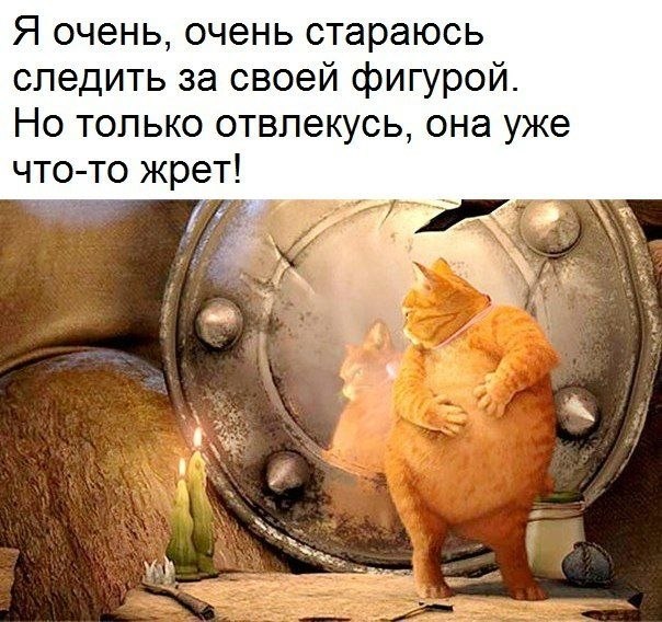   - 9  2020  18:51