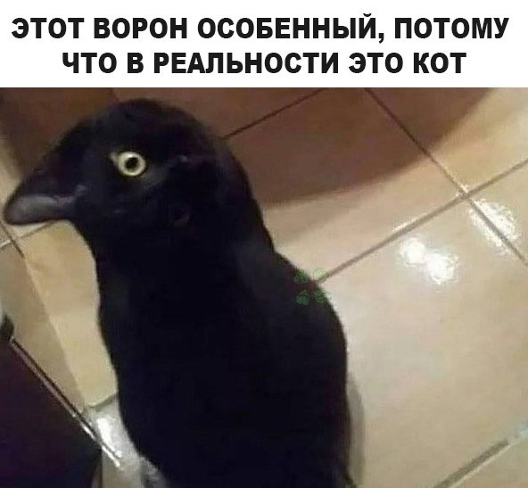   - 12  2020  19:02