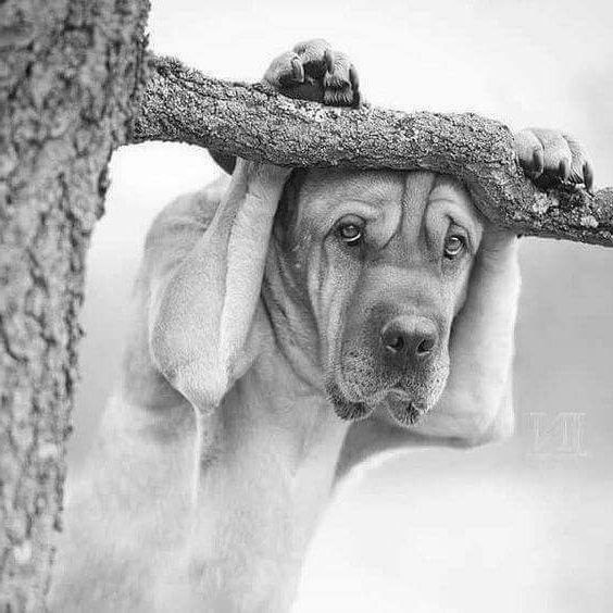 Ka     ,    ...  - -  - -, ...