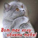���� ���������, ������� �����, 52 ���� - ��������� 14 ������ 2020 � ������ ���� ����������