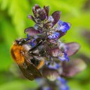  ,  -  2  2020     2020