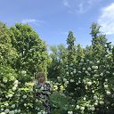 ���� ����, ���, 71 ��� - ��������� 8 ���� 2020 � ������ ��� ������...�