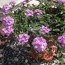 ���� ������, ������� - ��������� 16 ���� 2020 � ������ ������ ��������