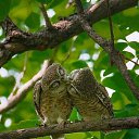 ���� Ludmila, ������, 76 ��� - ��������� 21 ������� 2020 � ������ ���� ����������