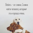 ���� ��������)....., ������������ - ��������� 3 ��� 2020 � ������ ���� ����������