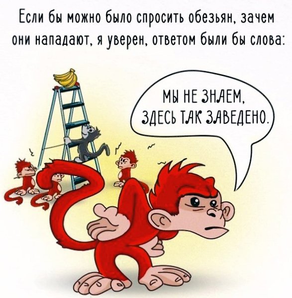 Эксперимент с обезьянами, бананами и ледяной водой. Точно неизвестно, проводился ли он, однако, в ... - 10