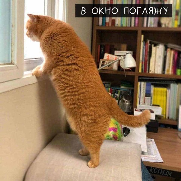      : - 5