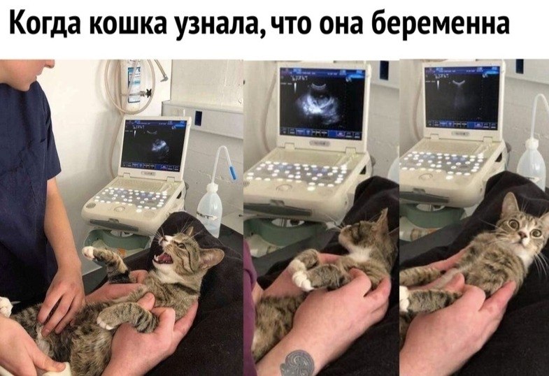  | ,  - 26  2020  19:07