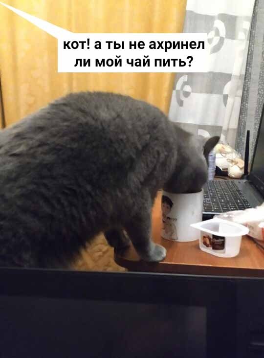  - 28  2020  18:55