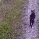 ���� Vladimir, ����� - ��������� 31 ����� 2020 � ������ �������