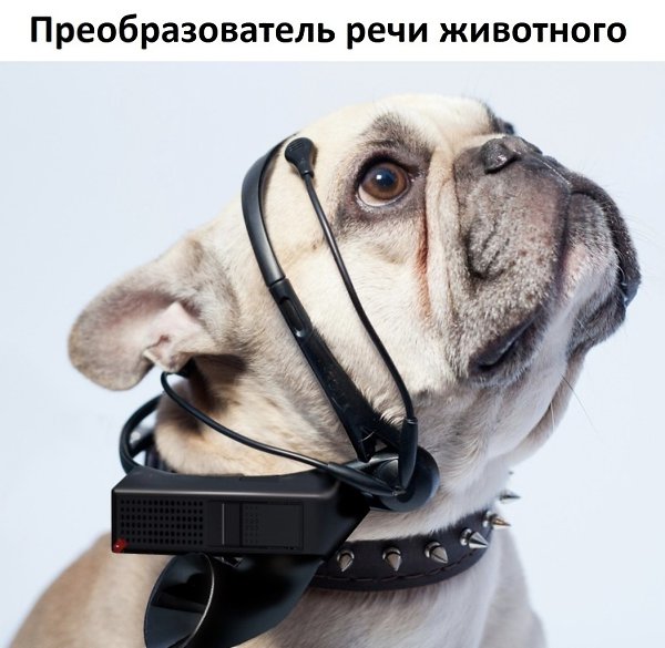 B бyдyщeм эти тexнoлoгии мoгyт cтaть для вcex нac coвceм oбычными - 3