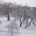 ���� Alex, �������, 57 ��� - ��������� 7 ����� 2020 � ������ �dtcyf�