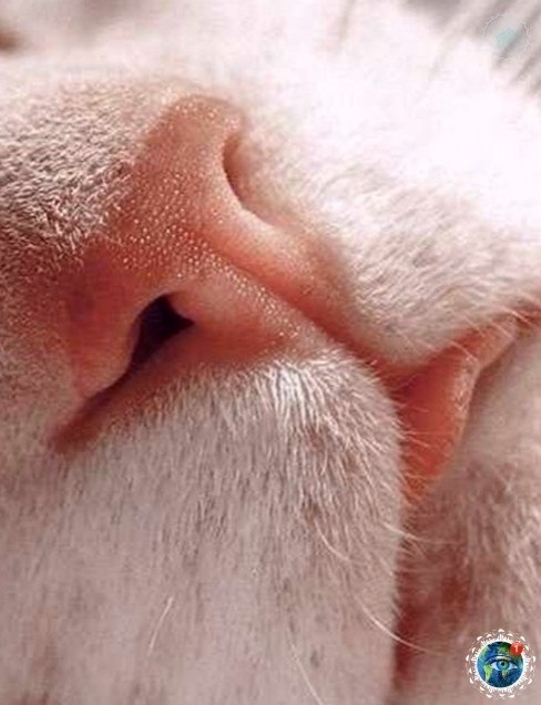 pa, op  oo o oco a  . opoeo ! # - 3