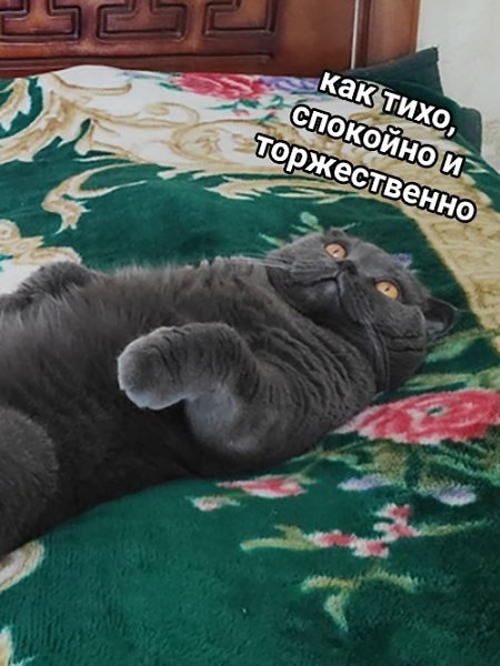 ������ ���������� �� ���� ��� ������� �� ���� ���������� - 2