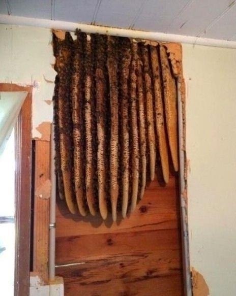 ���� �� ���� �� ���� ������