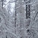 ���� ��������, �����������, 54 ���� - ��������� 6 ������ 2020