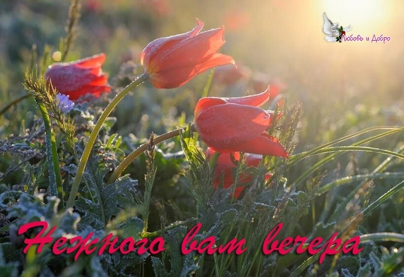   ,    . - 20  2020  18:53