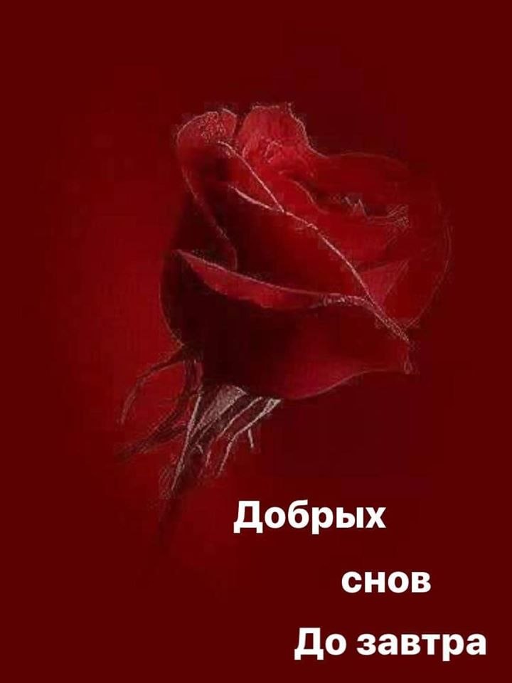   ,    . - 19  2020  22:02 - 6