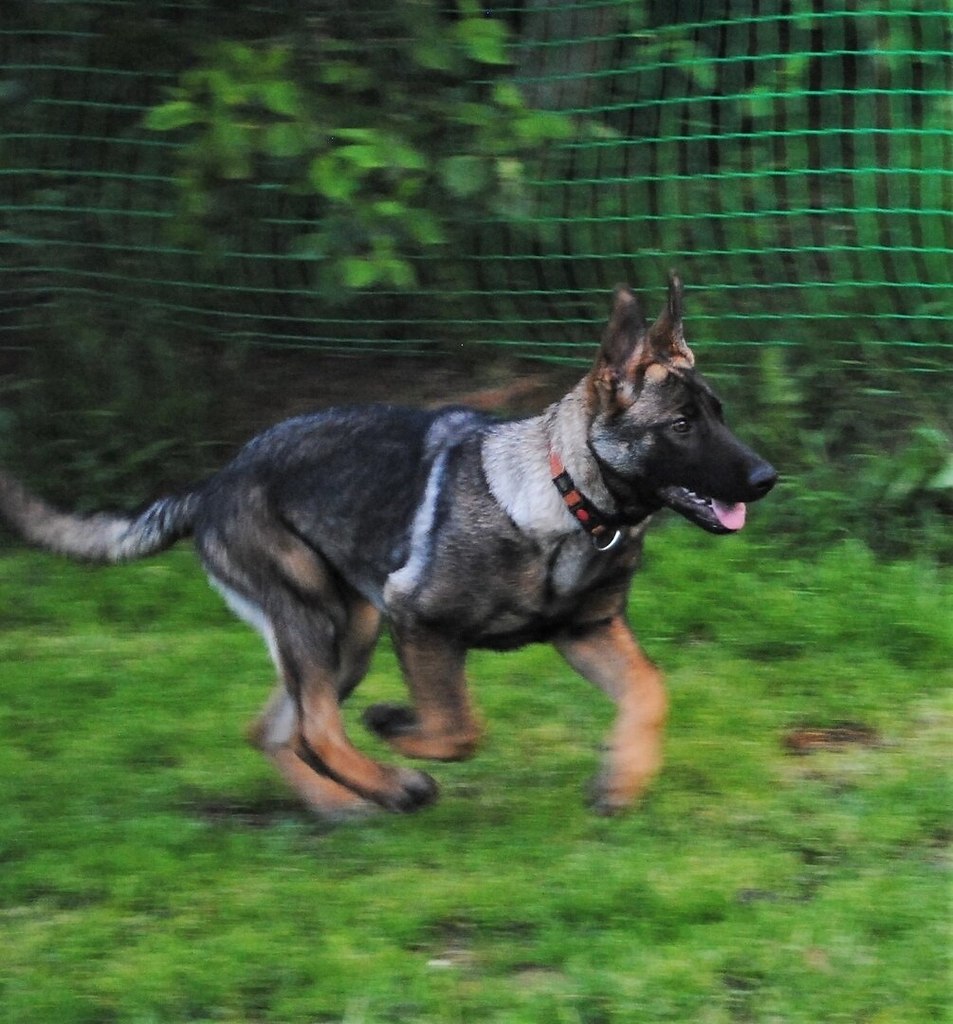 ���� ������ �������