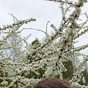 ���� ���������, ������, 50 ��� - ��������� 12 ��� 2020 � ������ ���� ����������