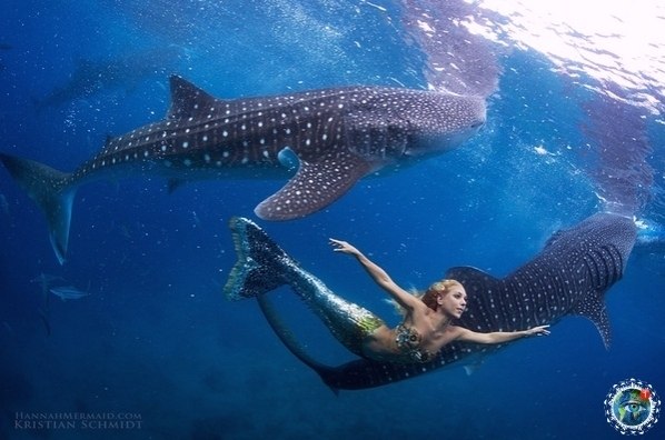  peep pe p  pe Ce.    p e? - 3