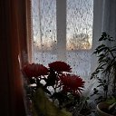 ���� ��������, �����������, 67 ��� - ��������� 14 ����� 2020 � ������ ���������� ������