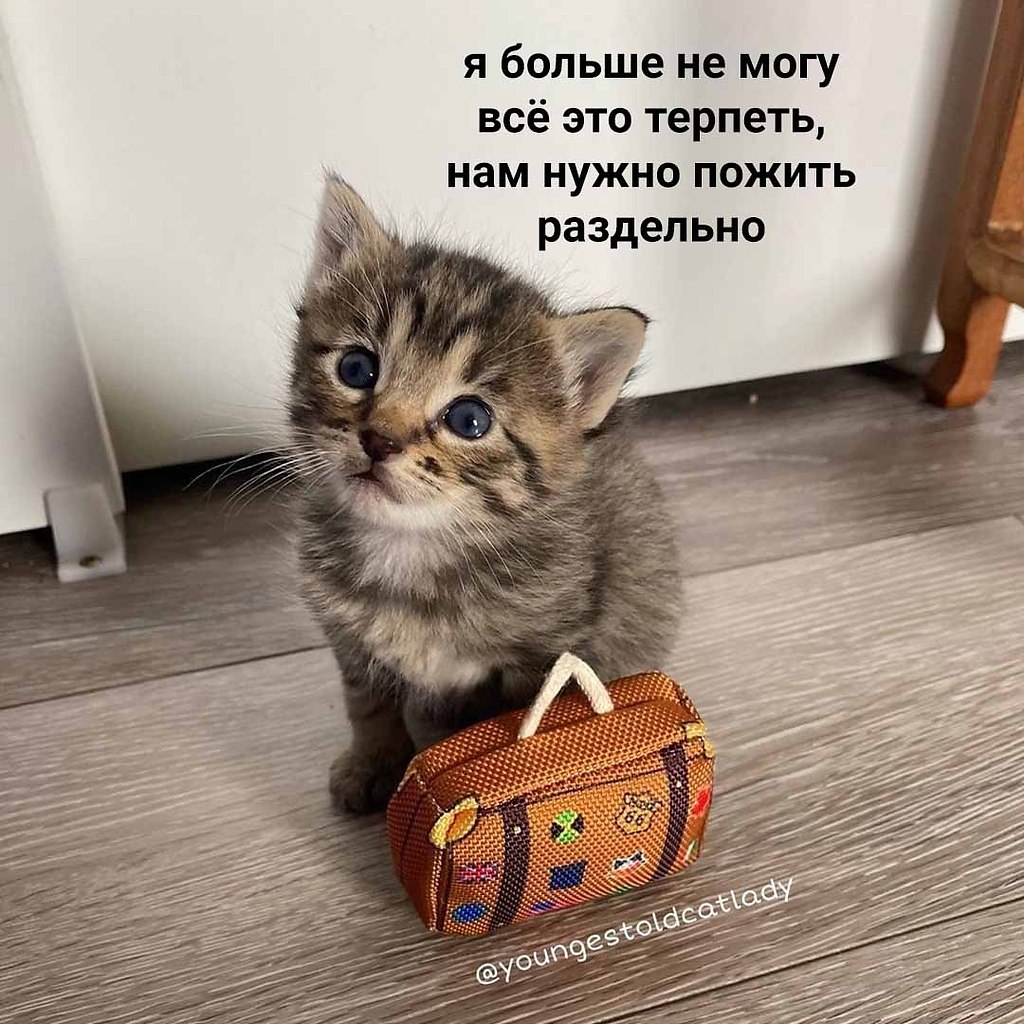  -     - 2