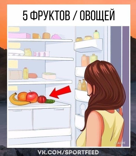 ! 9     . SportFeed! ! - 5
