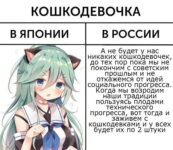 Если вы выберите меня президентом, кошкодевочка будет в каждом доме!