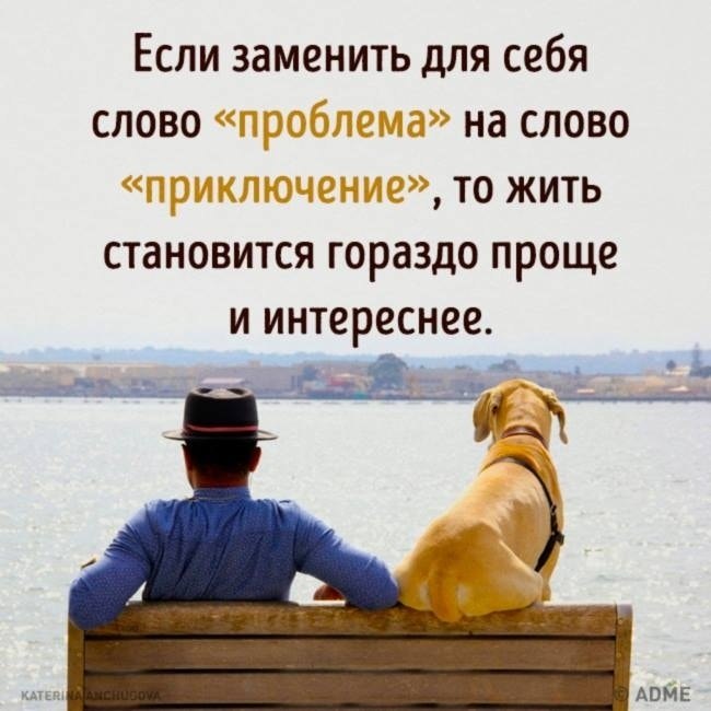 Мне стало намного лучше. Если заменить слово проблема. Если заменить слово проблема на слово приключение. Если заменить слово проблема на слово. Проблема и приключение.