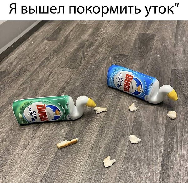 Шёл 65 день карантина.Не забываем о мерах самоизоляции. Соблюдайте карантин, победим болезнь ...