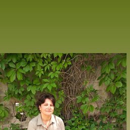 �������, ������, 50 ���