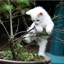 ���� ��������, ������, 69 ��� - ��������� 11 ������� 2020 � ������ ������ ��������