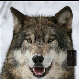 ���������, �����, 58 ���