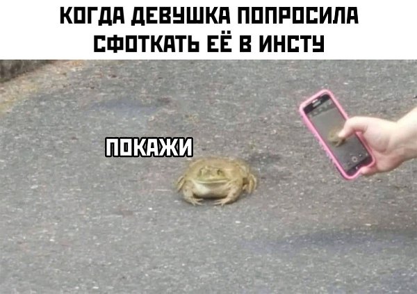    :D - 26  2020  18:31