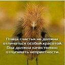 ���� ���������, �����������, 51 ��� - ��������� 22 ������ 2020 � ������ ������ ��������
