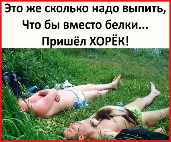���� �� �� �����...