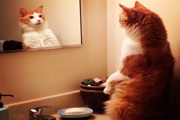   : 1.     ? 2.     ? 3.  ... - 2