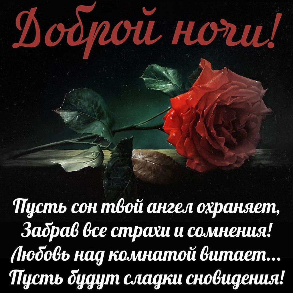   ,    . - 25  2020  21:05