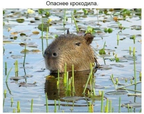ea, o aa ea aaca oco ... - 6