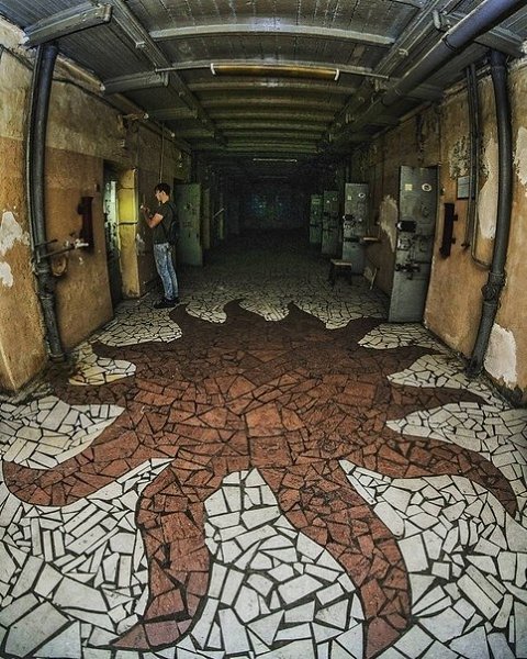 ����o������ ������ 