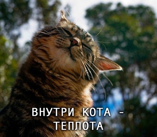    - 8  2020  19:08