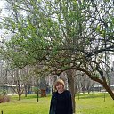 ���� �����, ���������, 68 ��� - ��������� 16 ����� 2020 � ������ ���� ����������