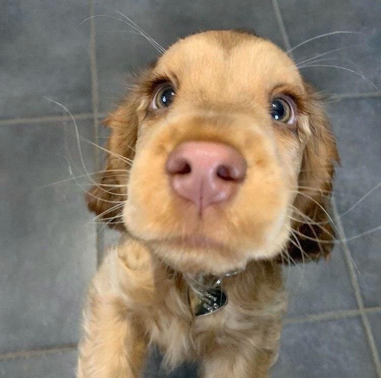   o  !    